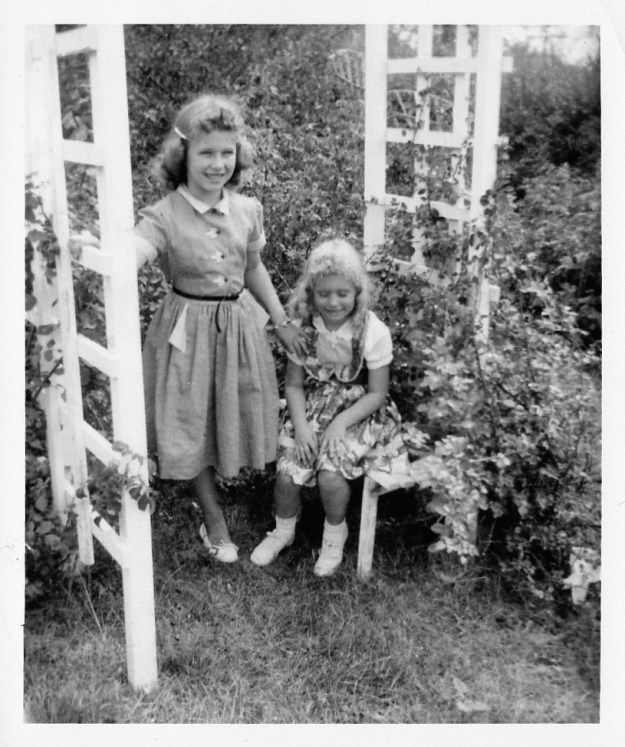 daily life  color108 (1)