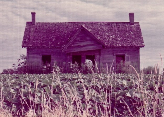 Decaying Farmhouse in Missouri Soybean Field