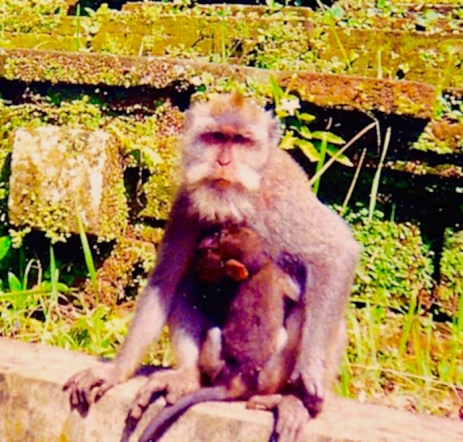 daily life  color111 (1)