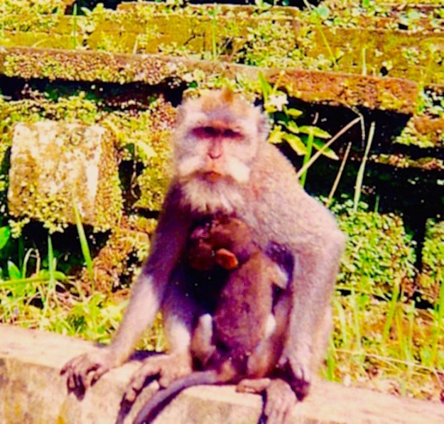 daily life color111 (1)