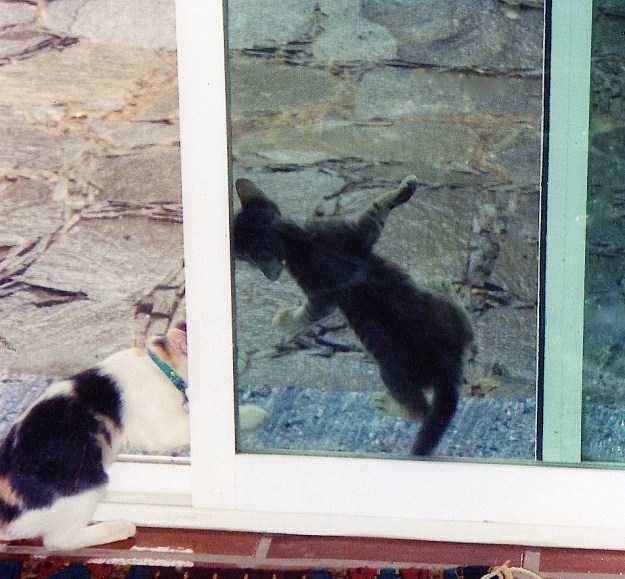 daily life  color113 (1)