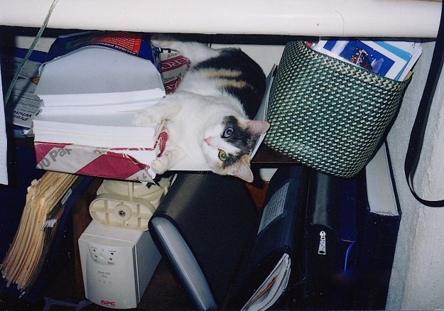 daily life  color114 (2)