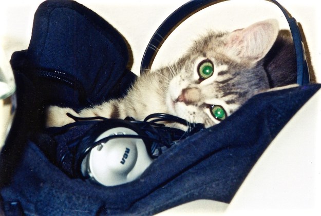 daily life  color116