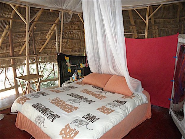 189319_1592985871267_2824733_n-1