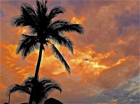 LAST IMAGE. Click on X on top left of page to return to page.