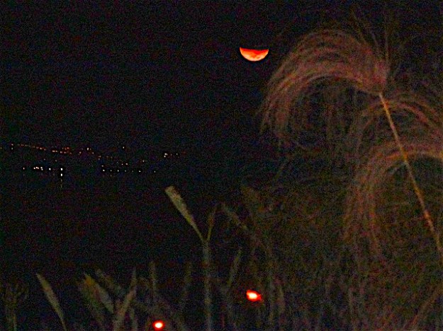 DSC09343 - Version 2