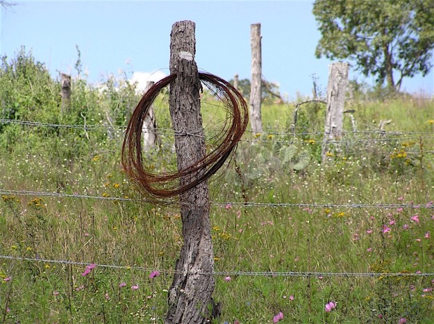 Wire Roll on Fence on the Way to Tapalpa