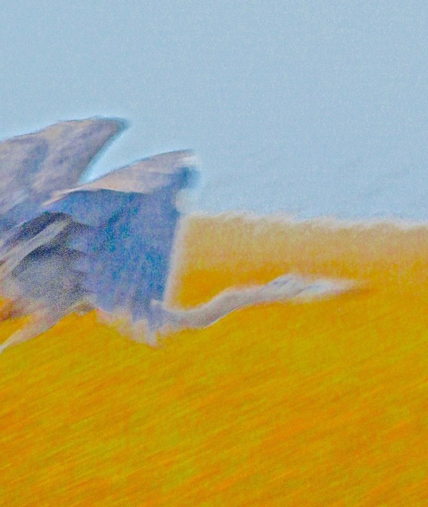 DSC00657 - Version 2