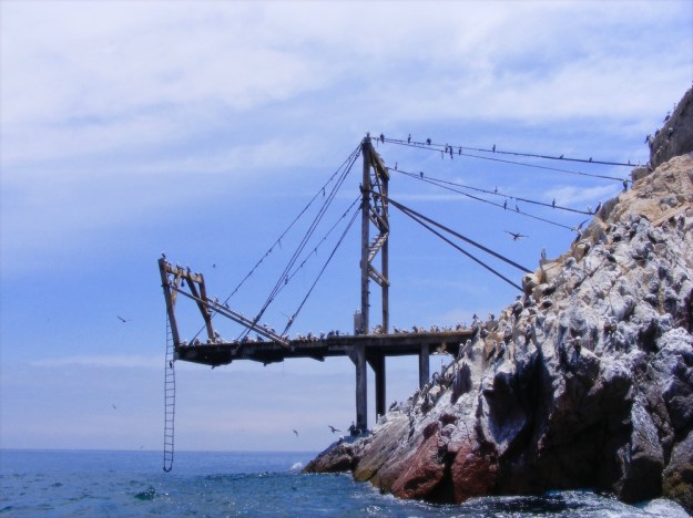 DSCF1150 - Version 2