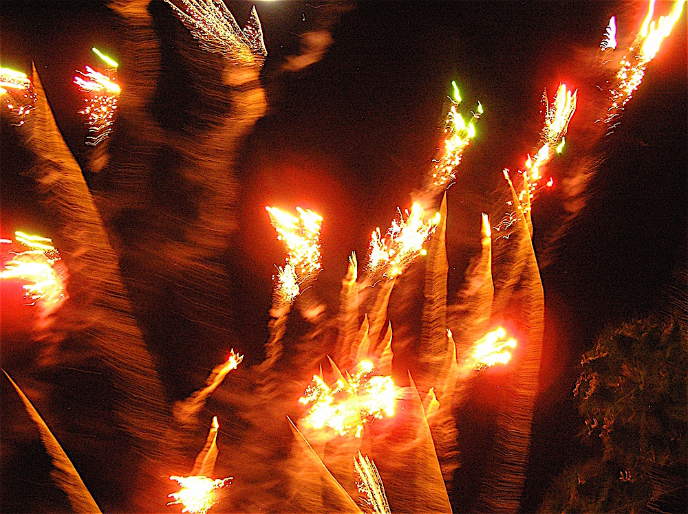 p1190256