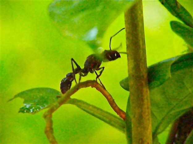 DSCF1865 - Version 3