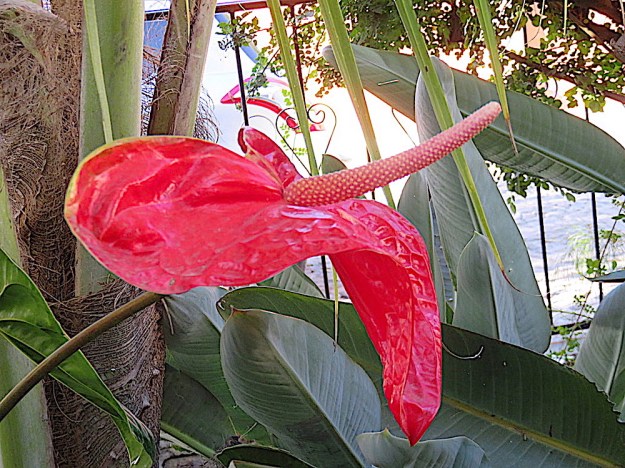 UNADJUSTEDNONRAW_thumb_1bcb2