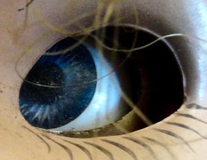 DSC06826 - Version 2