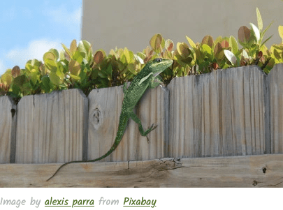 Screen Shot 2019-09-11 at 7.31.03 PM