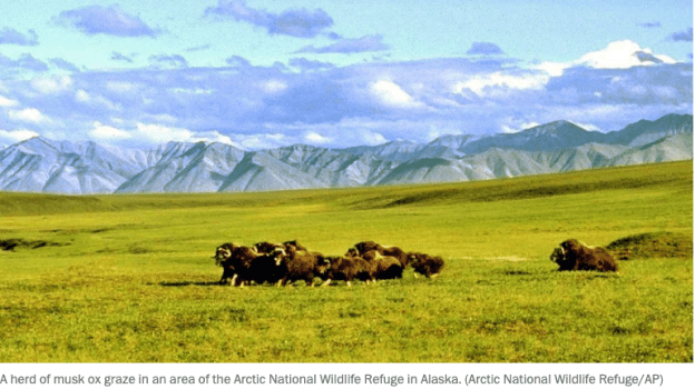 Screen Shot 2019-09-17 at 4.33.28 PM