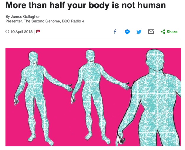 Screen Shot 2020-01-11 at 6.41.23 PM.png