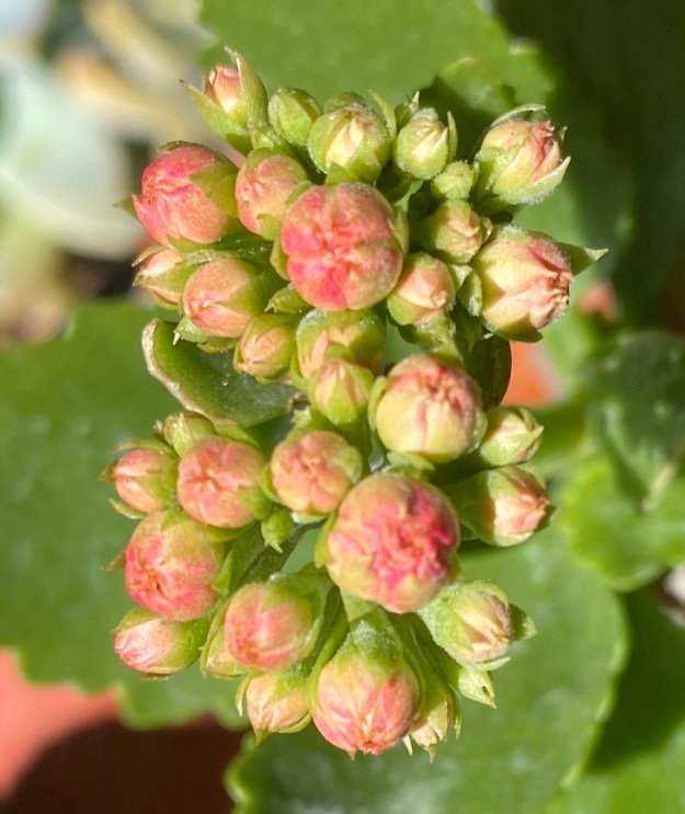 o2EHjHz5TOKKu0bhYf8%Ew_thumb_19731