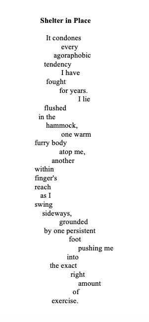 Screen Shot 2020-04-21 at 1.58.30 PM