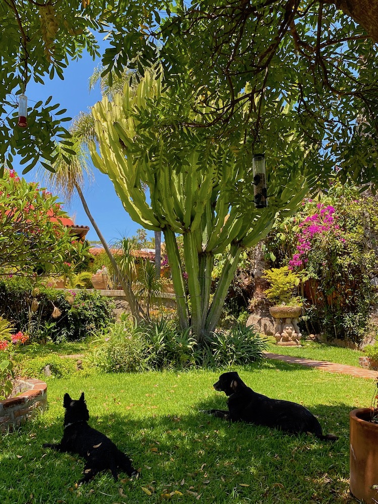 IMG_8806