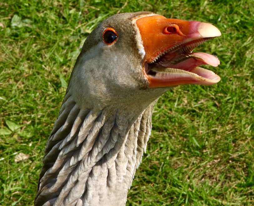 james-wainscoat-XYSsGF10rvs-unsplash