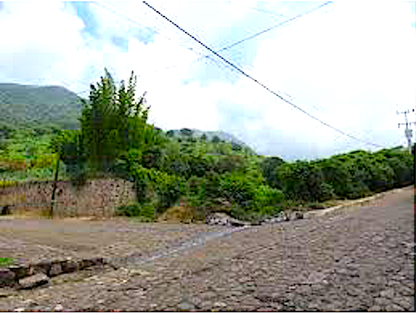 Screen Shot 2020-06-06 at 10.23.16 AM