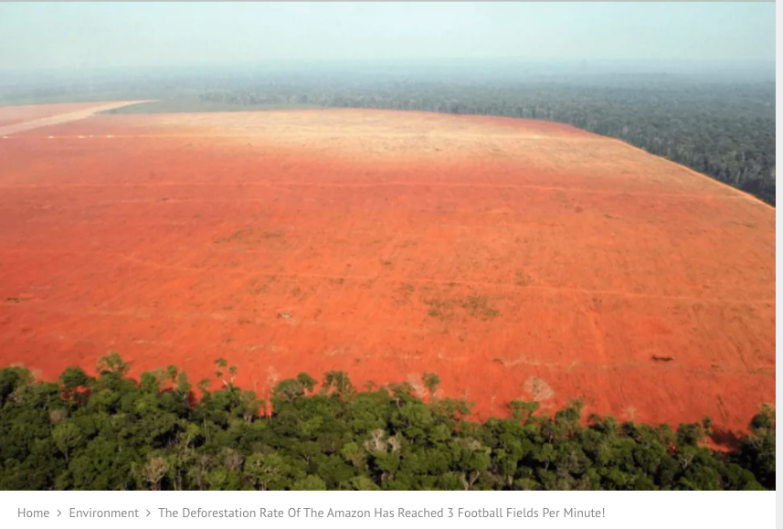 Screen Shot 2020-06-14 at 10.23.50 AM