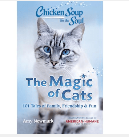 Screen Shot 2020-07-07 at 11.36.53 AM