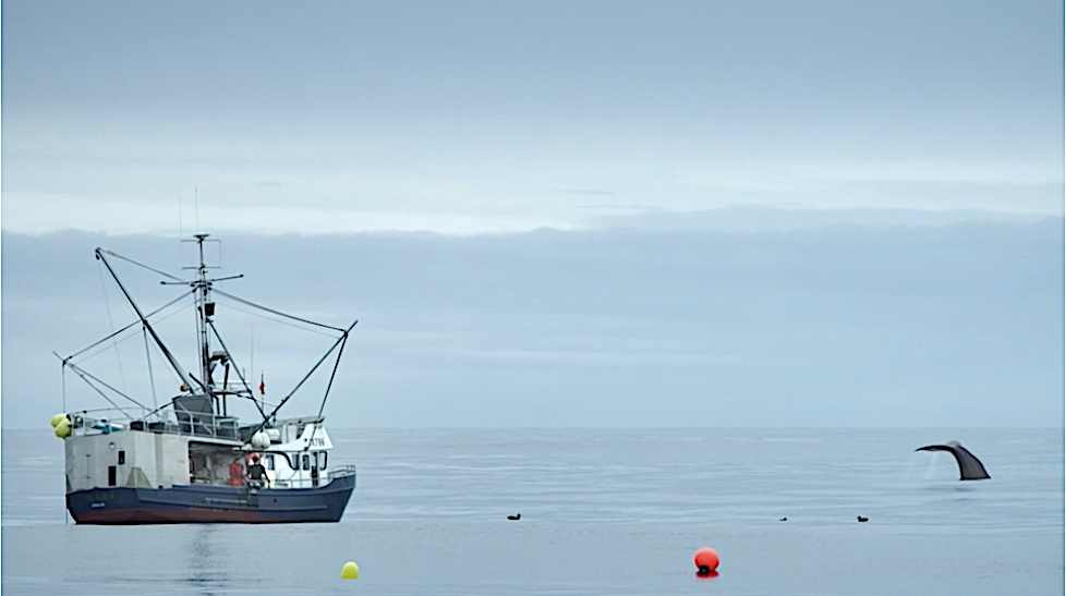 Screen Shot 2020-08-03 at 8.50.30 AM.png