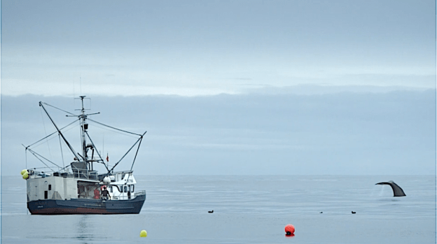 Screen Shot 2020-08-03 at 8.50.30 AM.png